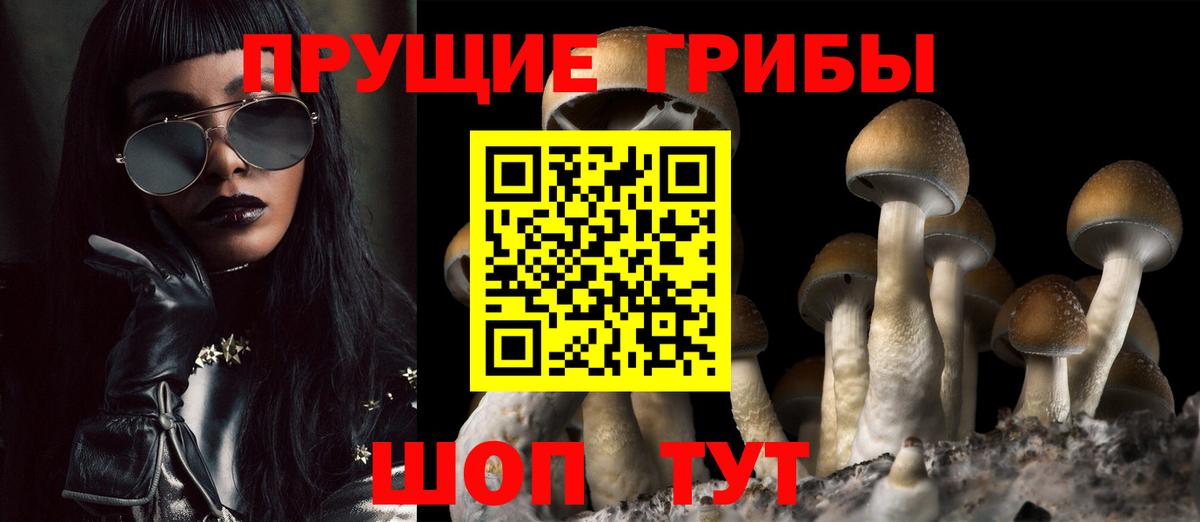 Коркино  Псилоцибиновые грибы мицелий  Вход с VPN  Псилоцибиновые грибы прущие грибы 