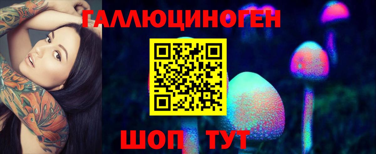 Псилоцибиновые грибы прущие грибы Коркино